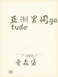 亚洲男同gay tude