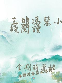 王明冯慧小说在线阅读