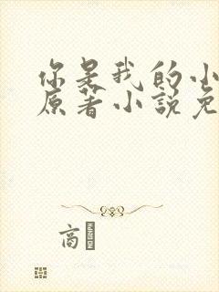 你是我的小确幸原著小说免费阅读