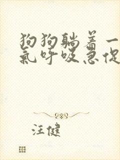 狗狗躺着一直喘气呼吸急促