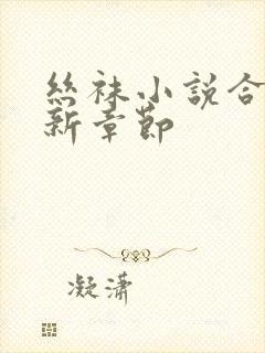 丝袜小说合集最新章节