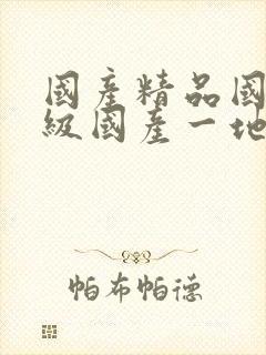 国产精品国产三级国产一地