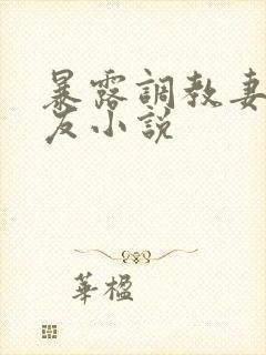 暴露调教妻子女友小说