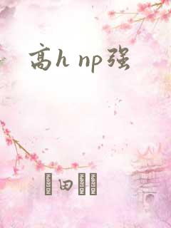 高h np强
