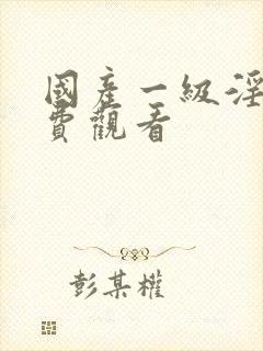 国产一级淫片免费观看