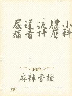 尿道流脓小便刺痛看什么科