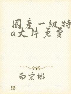 国产一级特黄aa大片免费