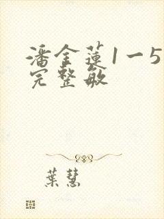 潘金莲1一5集完整敏