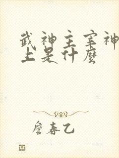 武神主宰神帝之上是什么