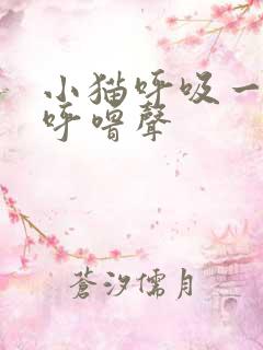 小猫呼吸一直有呼噜声