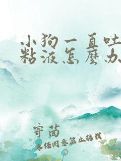 小狗一直吐白色粘液怎么办