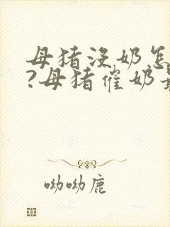 母猪没奶怎么办?母猪催奶最快方法