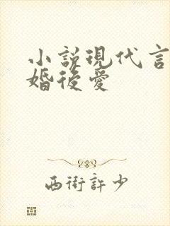 小说现代言情先婚后爱