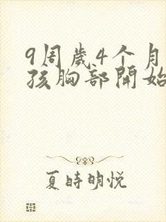 9周岁4个月女孩胸部开始发育正常吗