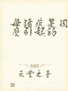 母猪疯是因为什么引起的