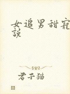 女追男甜宠文小说