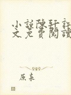 小说陈轩许静全文免费阅读