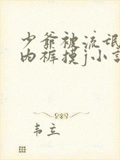 少爷被流氓扒下内裤摸j小说