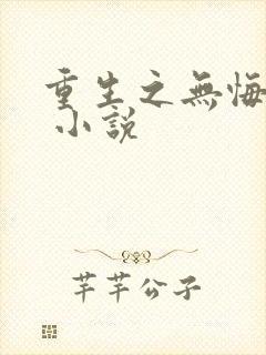 重生之无悔人生 小说