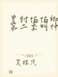 农村伯伯乡下妹第二季叫什么