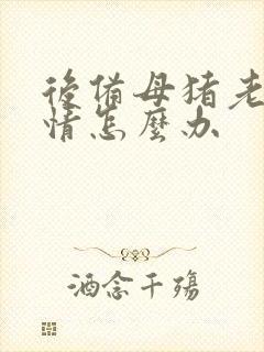 后备母猪老不发情怎么办