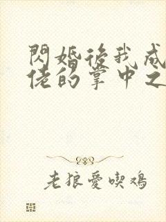 闪婚后我成了大佬的掌中之物原著