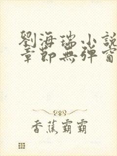 刘海瑞小说最新章节无弹窗阅读下载