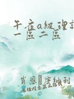 午夜a级理论片一区二区