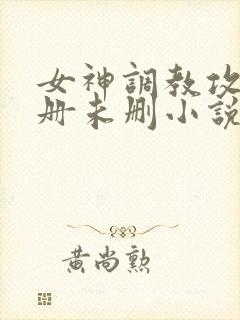 女神调教攻略手册未删小说