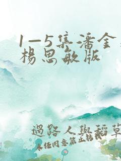 1—5集潘金莲杨思敏版