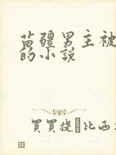 苗疆男主被囚禁的小说