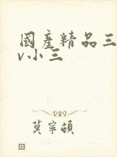 国产精品三级av小三