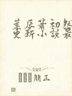 叶辰萧初然最快更新小说最新