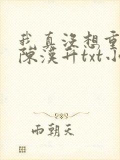 我真没想重生啊陈汉升txt小说下载