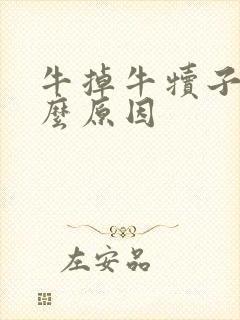 牛掉牛犊子是什么原因