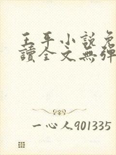 王平小说免费阅读全文无弹窗
