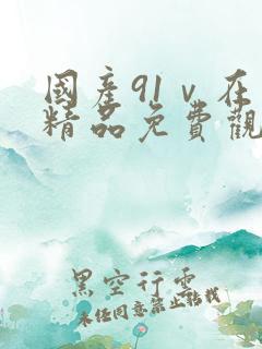 国产91ⅴ在线精品免费观看