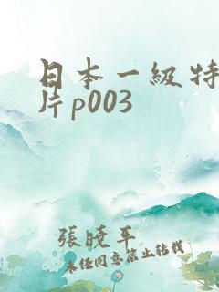 日本一级特黄大片p003
