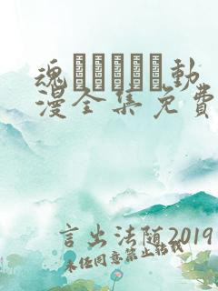 魂インサート动漫全集免费