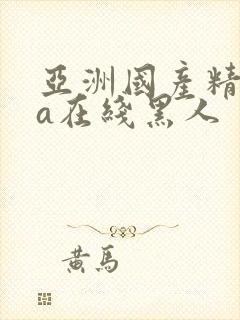 亚洲国产精品va在线黑人