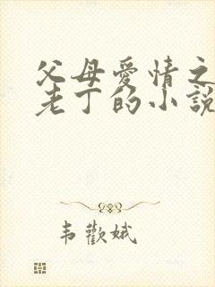 父母爱情之我是老丁的小说