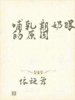 哺乳期奶眼儿堵的原因