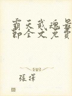 霸天武魂最新章节全文免费阅读