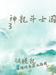 神龙斗士国语版3