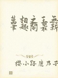 万相之王无弹窗笔趣阁最新