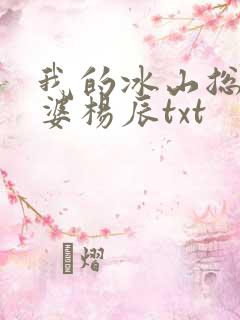 我的冰山总裁老婆杨辰txt