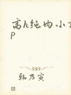 高h纯肉小说np