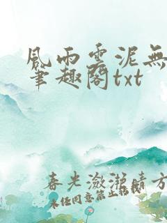 风雨云泥无删减笔趣阁txt