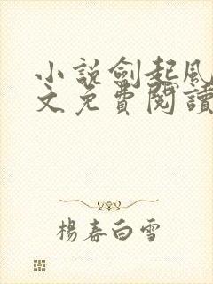 小说剑起风云全文免费阅读完整版