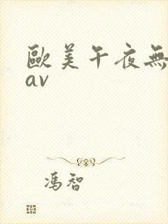 欧美午夜无人码av